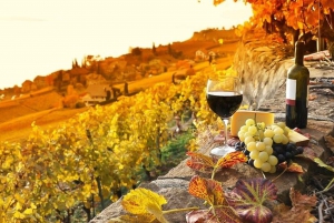 Sunset in Siena & Dinner in Chianti Tour from Florence