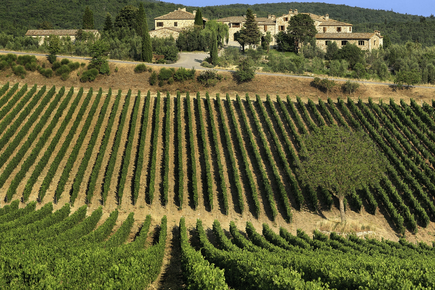 Smaka på Chianti, Montalcino och Montepulciano – Dagstur med minibuss