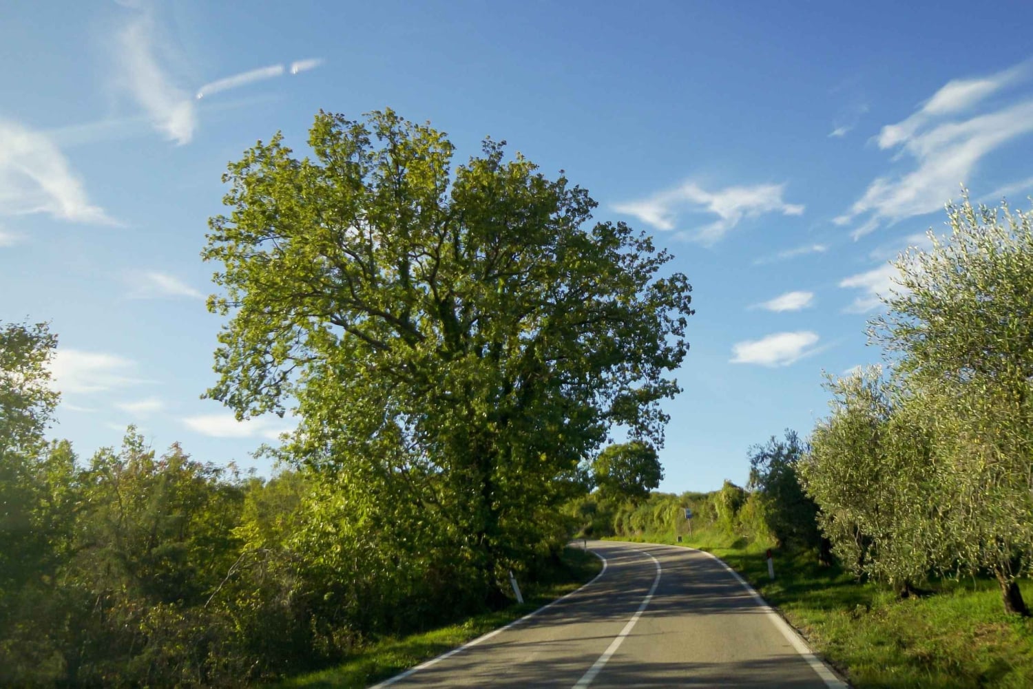 Smaka på Chianti, Montalcino och Montepulciano – Dagstur med minibuss