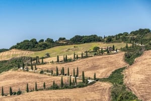 Smaka på Chianti, Montalcino och Montepulciano – Dagstur med minibuss