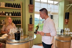 El sabor de la Toscana: Excursión de un día en torno al aceite de oliva y el vino desde Florencia