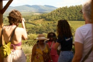 El sabor de la Toscana: Excursión de un día en torno al aceite de oliva y el vino desde Florencia