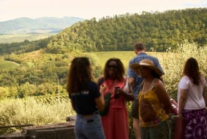 El sabor de la Toscana: Excursión de un día en torno al aceite de oliva y el vino desde Florencia