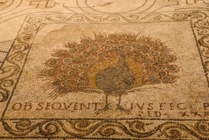 Florence: Giotto's Bell Tower and Cathedral Entry Ticket