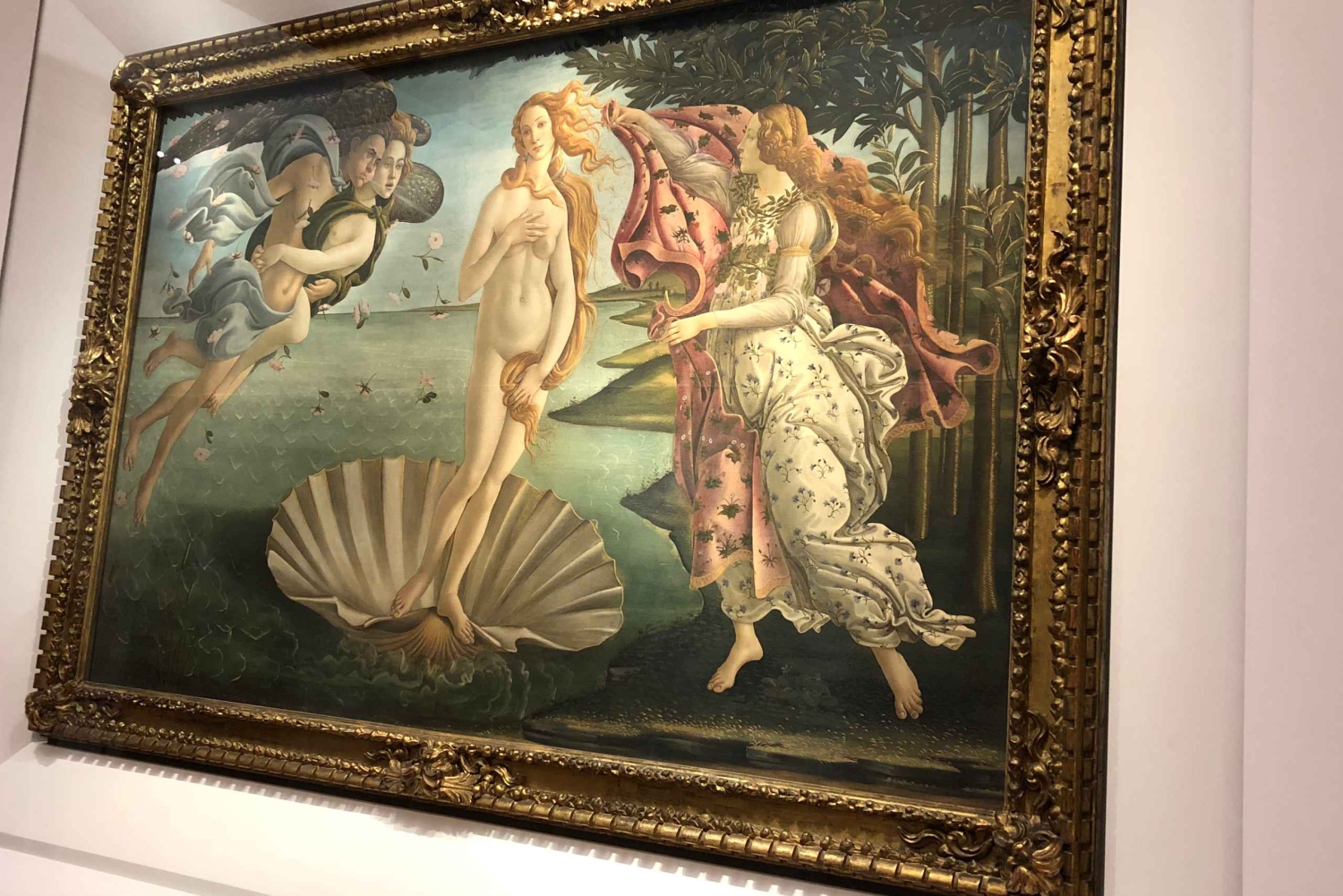 Ticket de entrada programada para la Galería Uffizi