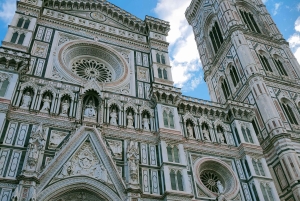 Tur: byrundtur i Firenze gennem byens vigtigste seværdigheder
