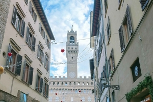 Tur: byrundtur i Firenze gennem byens vigtigste seværdigheder