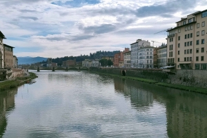 Tur: byrundtur i Firenze gennem byens vigtigste seværdigheder