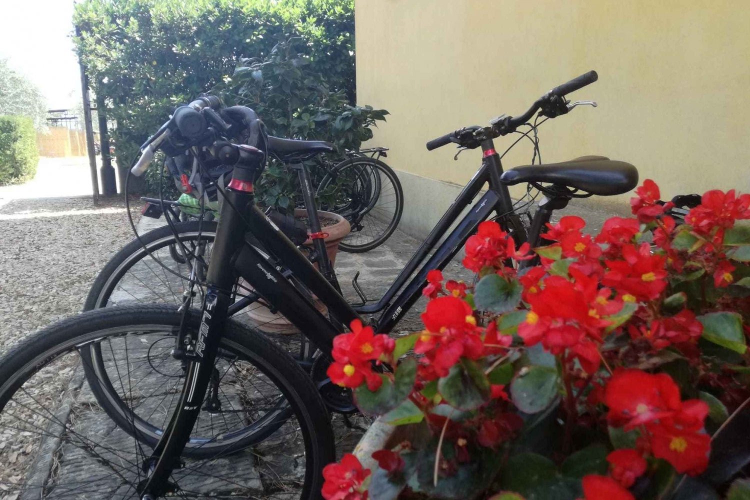 Touring bike rental to discover Tuscany