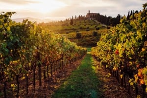Traditionel toscansk madlavningskursus på en vingård fra Firenze