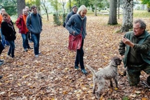 Truffle Hunting In The Hills Of Tuscany