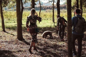 Truffle Hunting In The Hills Of Tuscany
