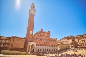 Dagstur til Toscana fra Firenze: Siena, San Gimignano og Pisa