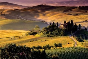 Dagstur til Toscana fra Firenze: Siena, San Gimignano og Pisa