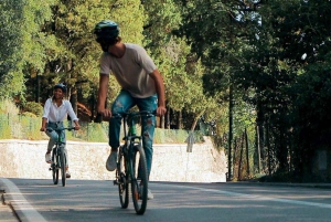 Tuscany: E-Bike Tour from Florence with Lunch
