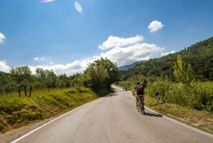 Från Florens: Rundtur med elektrisk cykel i Toscana & lunch