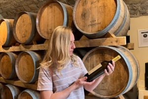 Toscana: Passeio de bicicleta eléctrica a partir de Florença com almoço