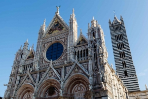 Tuscany: Full-Day Luxury Minivan Tour with Siena and Pisa