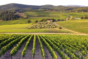 From Florence: Tuscany Wine & Food Tour with Guide