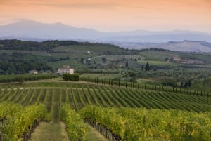 From Florence: Tuscany Wine & Food Tour with Guide
