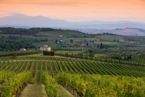From Florence: Tuscany Wine & Food Tour with Guide