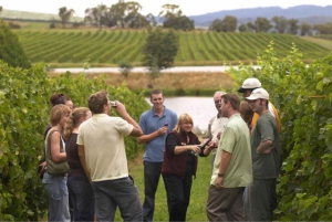 Tuscany: Horseback Riding Adventure with Lunch in a Winery