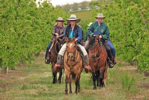 Tuscany: Horseback Riding Adventure with Lunch in a Winery