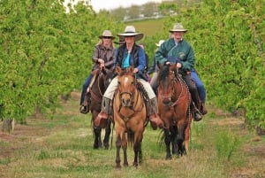 Toscana: ratsastusseikkailu ja lounas viinitilalla