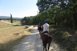 Toskania: przygoda z jazdą konną z lunchem w winnicy