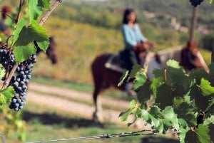 Toscane: paardrijavontuur met lunch in een wijnmakerij