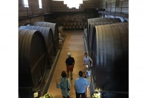 Toscana: Äventyr med ridning och lunch på en vingård
