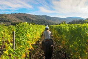 Toscana: avventura a cavallo con pranzo in un'azienda vinicola