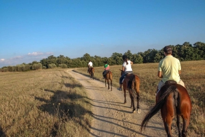 Toscana: avventura a cavallo con pranzo in un'azienda vinicola