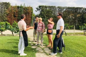 Toscana: avventura a cavallo con pranzo in un'azienda vinicola