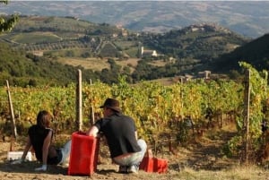 Toscane: diner in Montalcino bij wijnmakerij San Gimignano