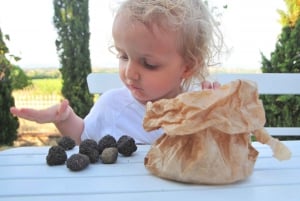 Tuscany: Truffle Hunting and Meal at a Winery