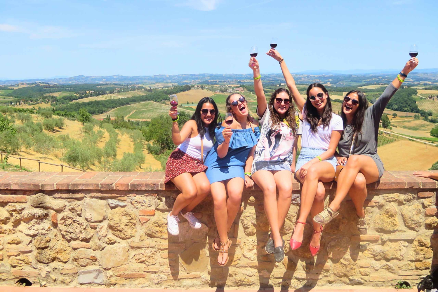 Tour del vino por la Toscana: 2 bodegas y San Gimignano desde Florencia