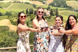 Tour del vino por la Toscana: 2 bodegas y San Gimignano desde Florencia