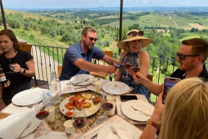 Tour del vino por la Toscana: 2 bodegas y San Gimignano desde Florencia