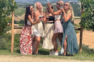 Tour del vino por la Toscana: 2 bodegas y San Gimignano desde Florencia