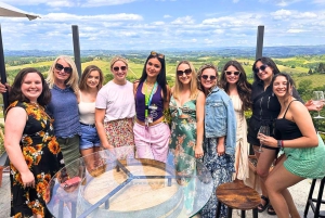 Tour del vino por la Toscana: 2 bodegas y San Gimignano desde Florencia