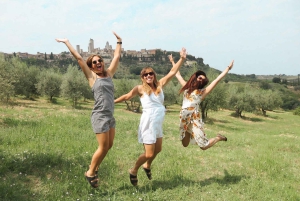 Tour del vino por la Toscana: 2 bodegas y San Gimignano desde Florencia