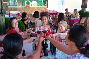 Tour del vino por la Toscana: 2 bodegas y San Gimignano desde Florencia