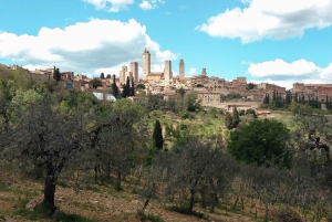 Tour del vino por la Toscana: 2 bodegas y San Gimignano desde Florencia