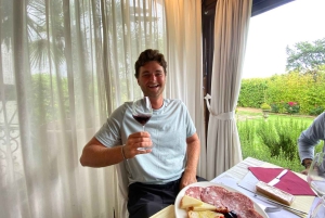 Tour del vino por la Toscana: 2 bodegas y San Gimignano desde Florencia