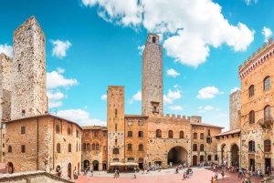 Tour del vino por la Toscana: 2 bodegas y San Gimignano desde Florencia