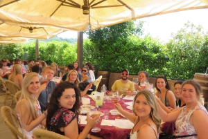 Tour del vino por la Toscana: 2 bodegas y San Gimignano desde Florencia