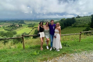 Tour del vino por la Toscana: 2 bodegas y San Gimignano desde Florencia