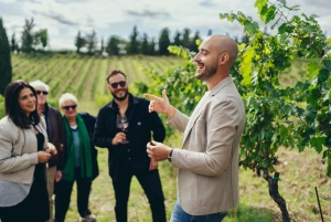 Vintur i Toscana med lokal vinekspert (liten gruppe)