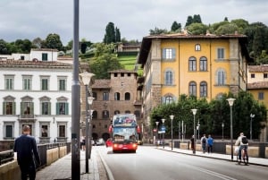 Uffizi Gallery & Hop-on Hop-off Bus Tour